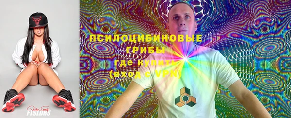 СК Алексеевка
