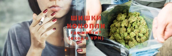 гидра Михайловка