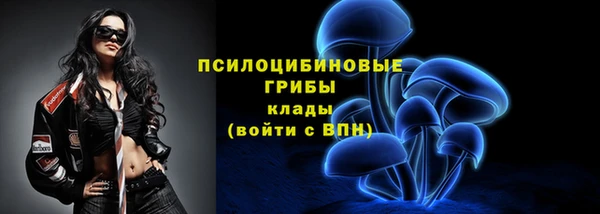 молекула духа Алзамай