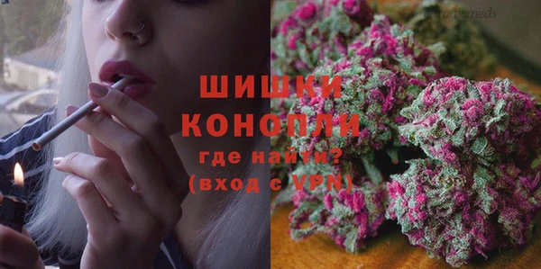 молекула духа Алзамай