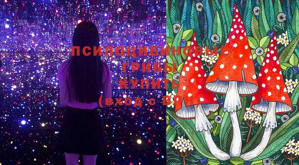дурь Алексин