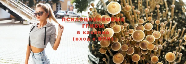 дурь Алексин